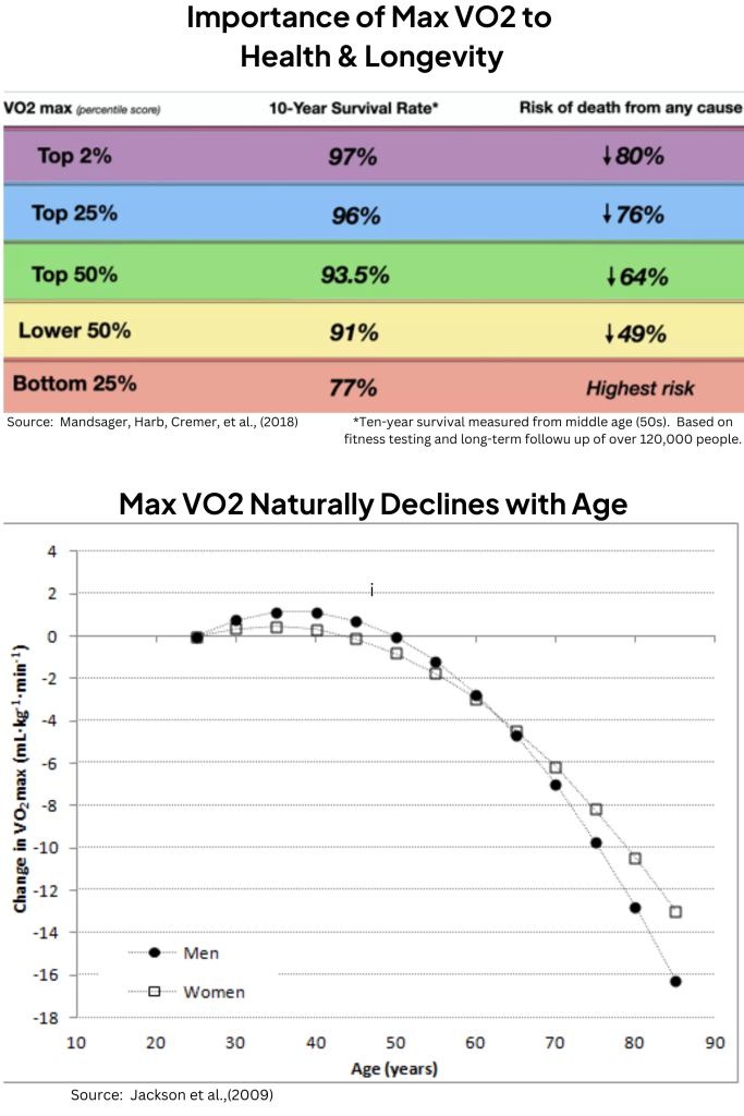 Chart and graph showing the relationship between Max VO2, health, longevity, and age-related decline