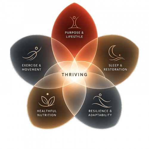 5-D Model of Thriving (1080 x 1080 px) (800 x 800 px) (7)